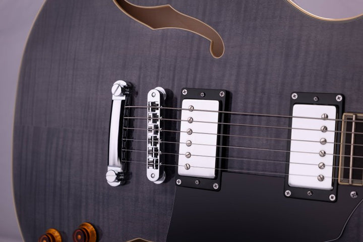 Washburn Wing Series SH35 Semi-Hollow Electric Guitar (Trans Black)