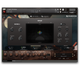 Hopkin Intrumentarium: Flat Gongs - 2