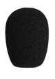 Audio-Technica BPHS2CA