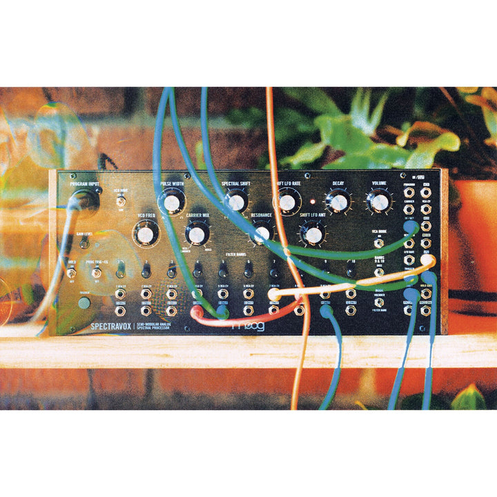 Moog Spectravox