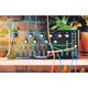 Moog Spectravox