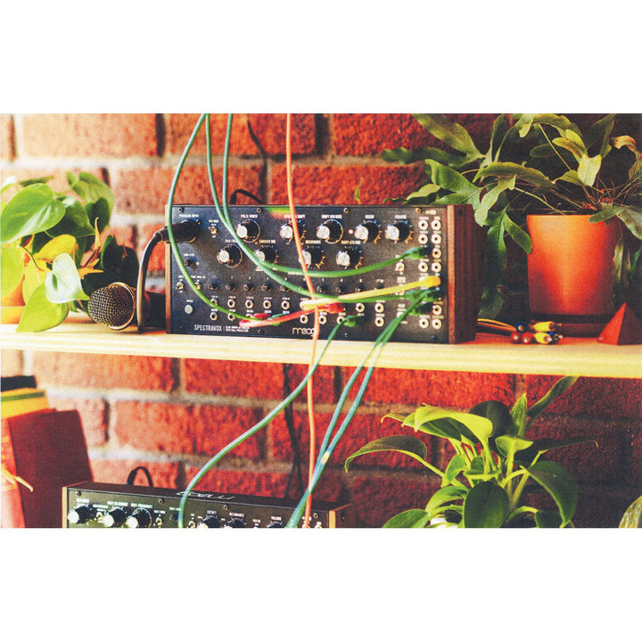 Moog Spectravox
