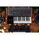 Moog Subsequent 25
