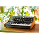 Moog Subsequent 25