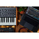 Moog Subsequent 25
