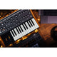 Moog Subsequent 25