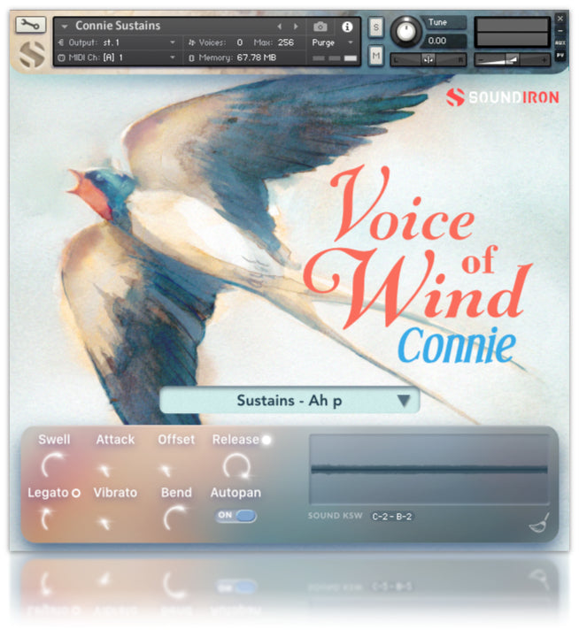 Voice of Wind: Connie - 1