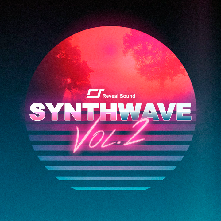 REVEAL SOUND Reveal Sound Synthwave Vol.2