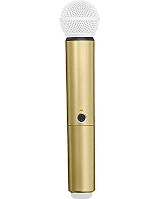 Shure WA713-GLD
