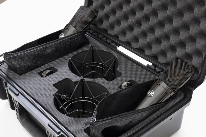 Warm Audio WA87-R2-TS