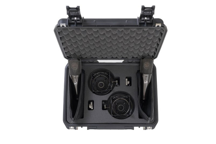 Warm Audio WA87-R2-TS