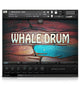 Whale Drum - 1