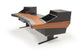 Argosy Dual 15L Workstation w/825 Rack Modules, Mahogany End Panels & Mahogany Veneer Desktop
