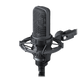 Audio-Technica AT4050