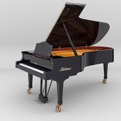 PIANOTEQ Pianoteq Bluthner Model 1