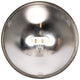 ADJ PAR 64 Narrow Lamp - 120V 1000W