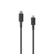 Lewitt CONNECTC2L USB-C to Lightning cable for charging and streaming audio from Connect on iOS