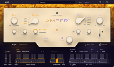 UJAM UJAM AMBER 2