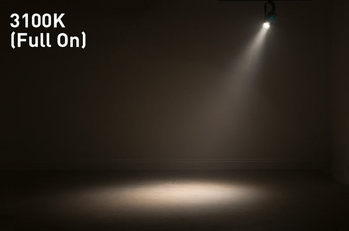 ADJ Pinspot with 20° Beam & 15W WW LED