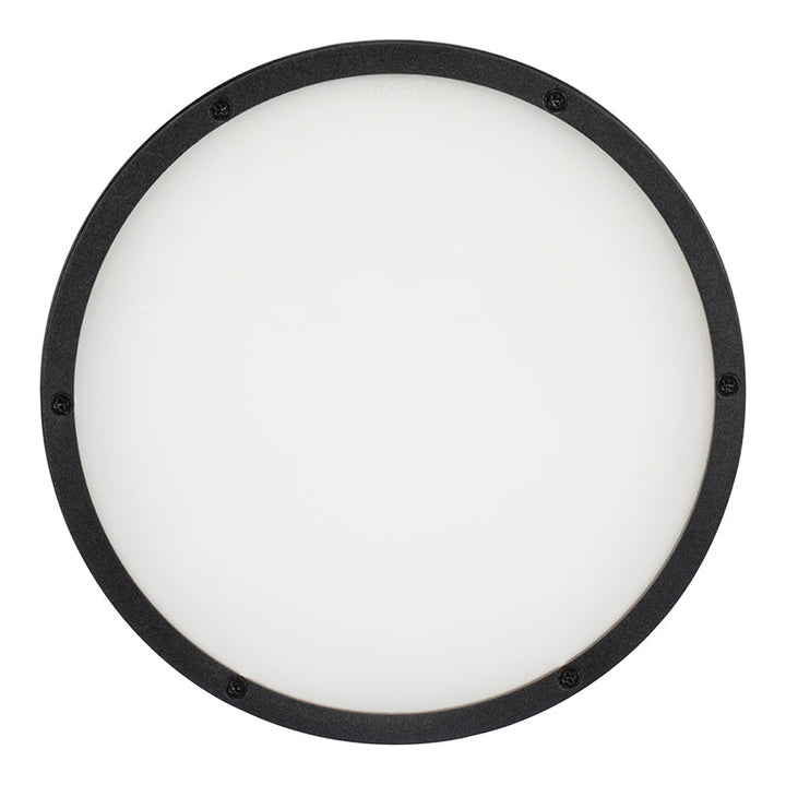 ADJ 30 x 60° Frost Filter for ENCORE-LP18IP