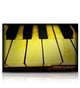 The Drinking Piano - 4