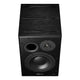 Dynaudio Dynaudio BM15A Active Studio Monitor (Right)
