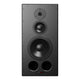 Dynaudio Dynaudio C3 MkII 3-Way Passive Studio Monitor