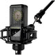 Lewitt LCT441FLEX 1" true condenser multi-pattern microphone
