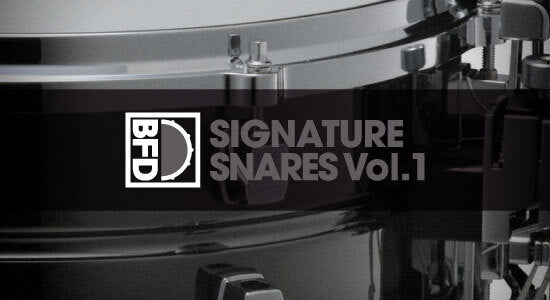 BFD SIGNATURE SNARES VOL. 1