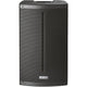 FBT X-LITE 115 800W Passive 2-Way Portable Loudspeaker (Black) - 15"