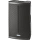 FBT X-LITE 115 800W Passive 2-Way Portable Loudspeaker (Black) - 15"