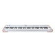 Arturia Arturia AstroLab 61 Limited Edition Stage Keyboard (Silver)