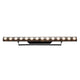 Eliminator FROST FX LED Bar - 14 x 3W