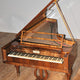 PIANOTEQ Pianoteq Kremsegg Collection 1