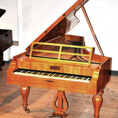 PIANOTEQ Pianoteq Kremsegg Collection 2