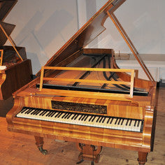 PIANOTEQ Pianoteq Kremsegg Collection 1