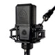 Lewitt LCT440PURE 1" true condenser microphone
