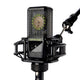 Lewitt LCT441FLEX 1" true condenser multi-pattern microphone