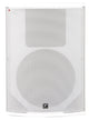 Yorkville Yorkville Coliseum C15W 15" Installation Loudspeaker, White