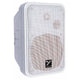Yorkville Yorkville Coliseum C120W 5" Installation Speaker, White
