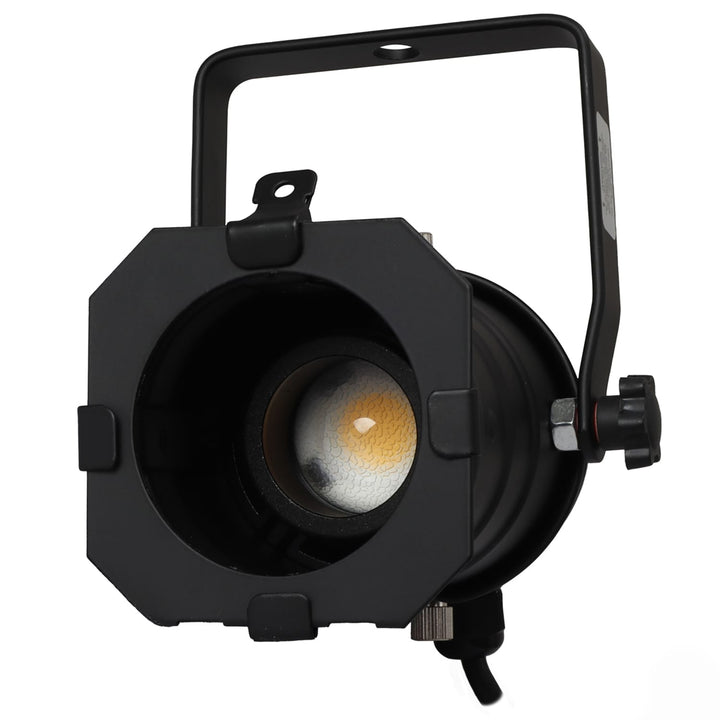 Odyssey LSPAR20B-ZOOM PAR 20 Aluminum LED Fixture with 10W Zoom - Black