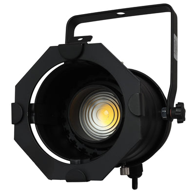 Odyssey Odyssey LSPAR30B-ZOOM PAR 30 Aluminum LED Fixture with 20W Zoom - Black