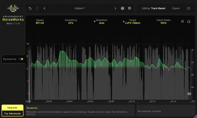 NOISEWORKS NoiseWorks VoiceAssist Basic