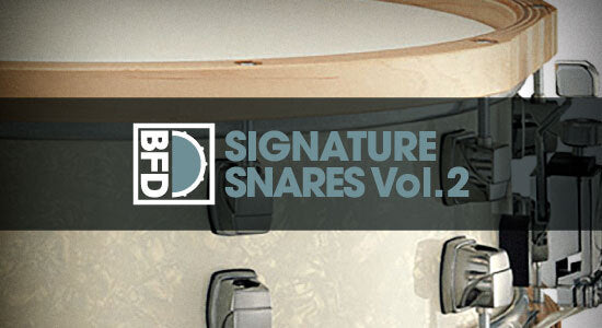 BFD SIGNATURE SNARES VOL. 2