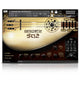Acoustic Saz - 1