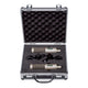 Royer Royer R-10 Ribbon Microphone Matched Pair with dBooster2