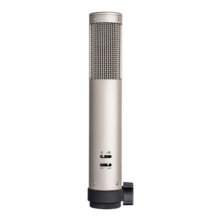 Royer Royer R-12 Active Ribbon Microphone Matched Pair