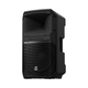 Electro-Voice Electro-Voice EVIVA12P-US 12in 2-Way Powered Loudspeaker — 1000W- Black