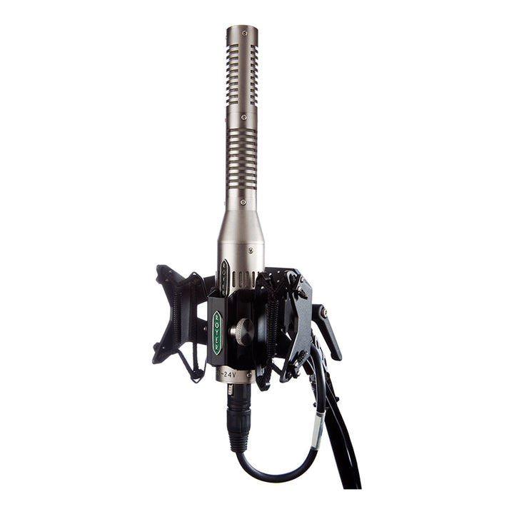 Royer Royer SF-24V Tube Stereo Ribbon Microphone (Satin Nickel)