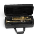 SKB SKB 1SKB-SC330 Rectangular Trumpet Soft Case (Black) - Instrument Accessories